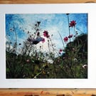 Spring Blooms Archival Photo Print 8 x 10inch in 10 x 12 mount