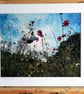 Spring Blooms Archival Photo Print 8 x 10inch in 10 x 12 mount