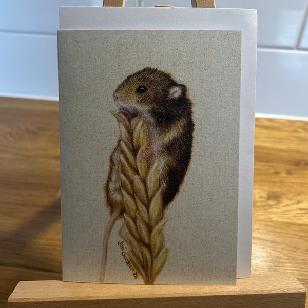 Small Havest Mouse