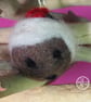 Christmas Pudding Felt Bauble - Image 3