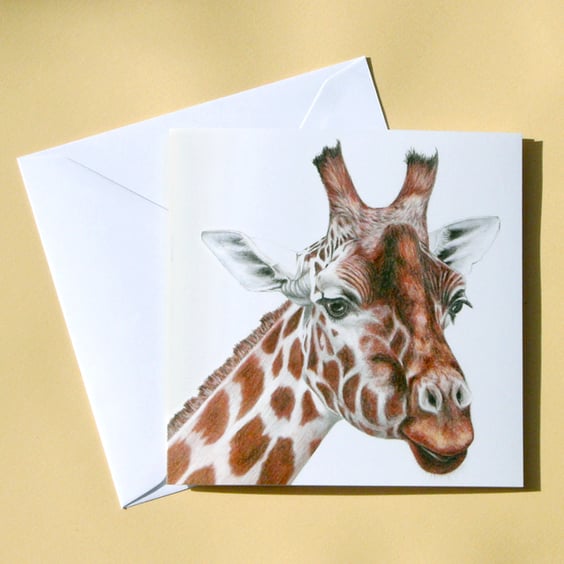 Greetings Card - Blank - Giraffe