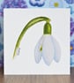 Snowdrop Blank Floral Card