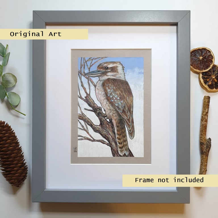 Kookaburra bird artwork, original drawing, wildlife artwork