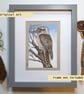Kookaburra bird artwork, original drawing, wildlife artwork