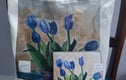 Organic Cotton Tote Bags