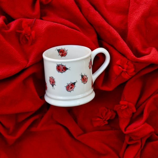 Ladybird Country Mug - seconds sunday