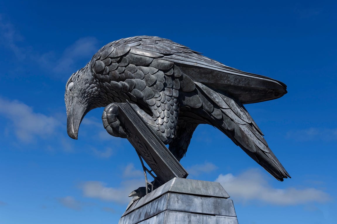 Rook with a book print