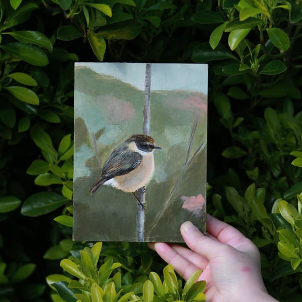 Stonechat - original acrylic painting