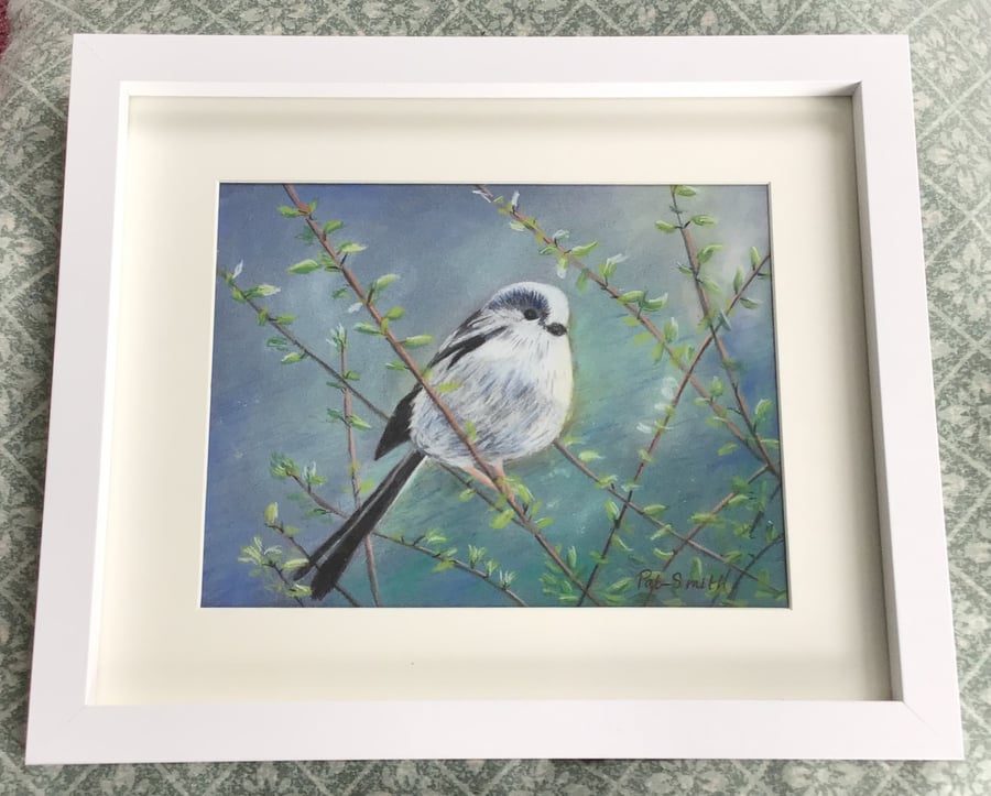 Original Pastel Painting, Long Tailed Tit