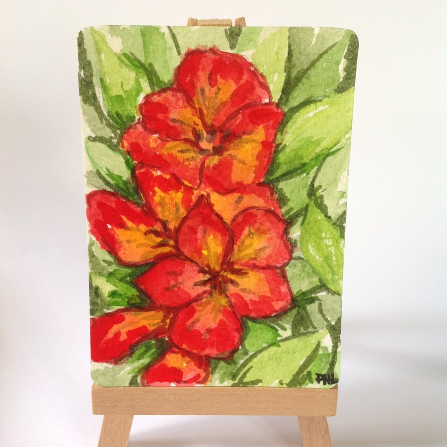 ACEO original watercolour and ink Summer Flowers