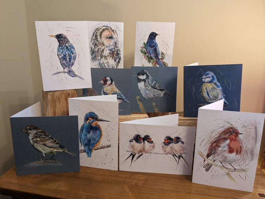 Mixed pack of 10 greetings cards , Bird Collection
