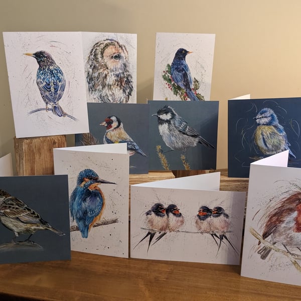 Mixed pack of 10 greetings cards , Bird Collection