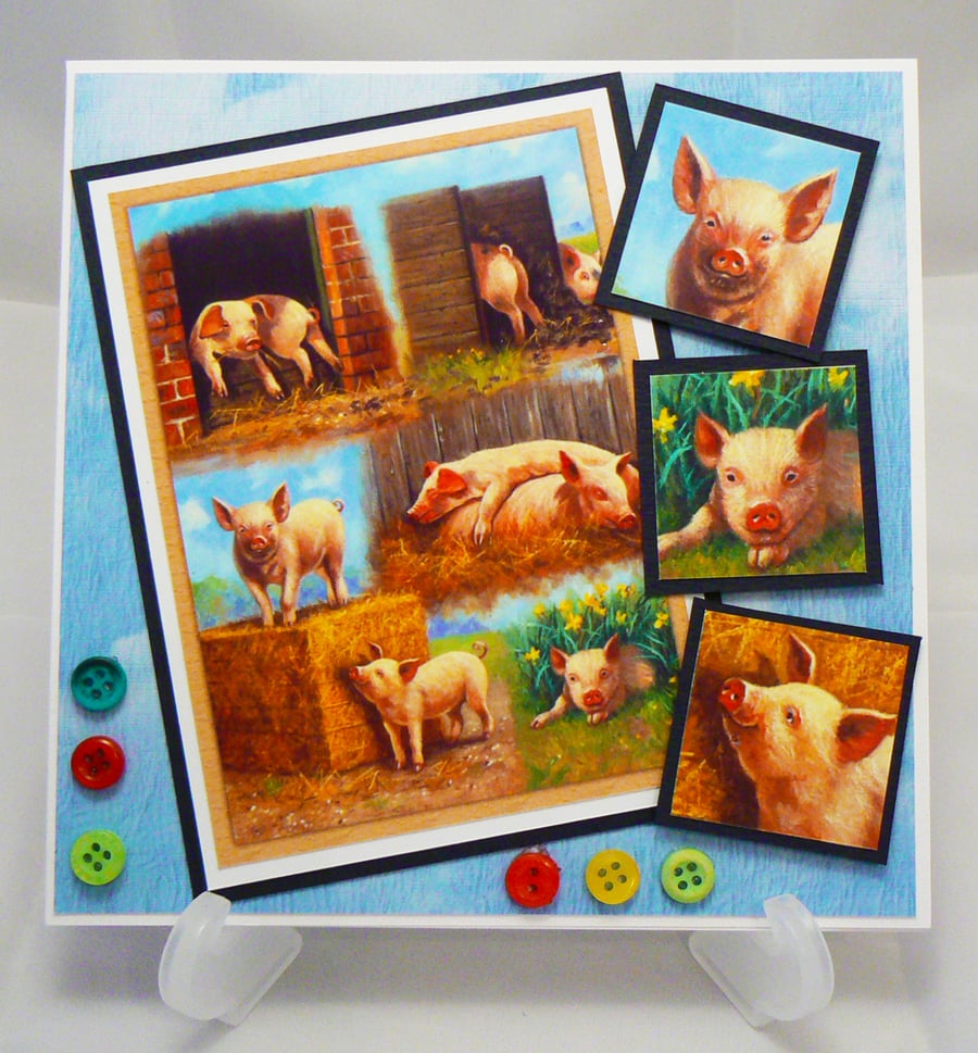 Pigs in Clover (Gen280)