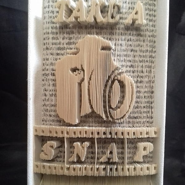 Take A Snap, Camera CUT & FOLD Book Folding Pattern - EMAILED PDF PATTERN