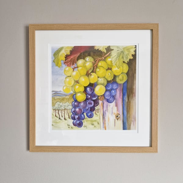 Vineyard Grapes fine art giclee print of original watercolour by Lea Murch