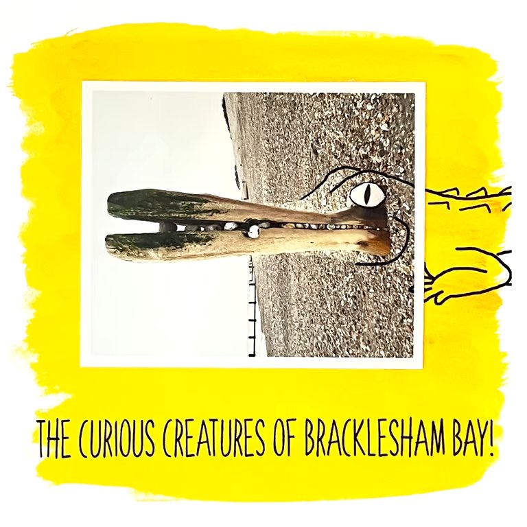 Croc; greetings card, blank inside, printed on card and photographic paper