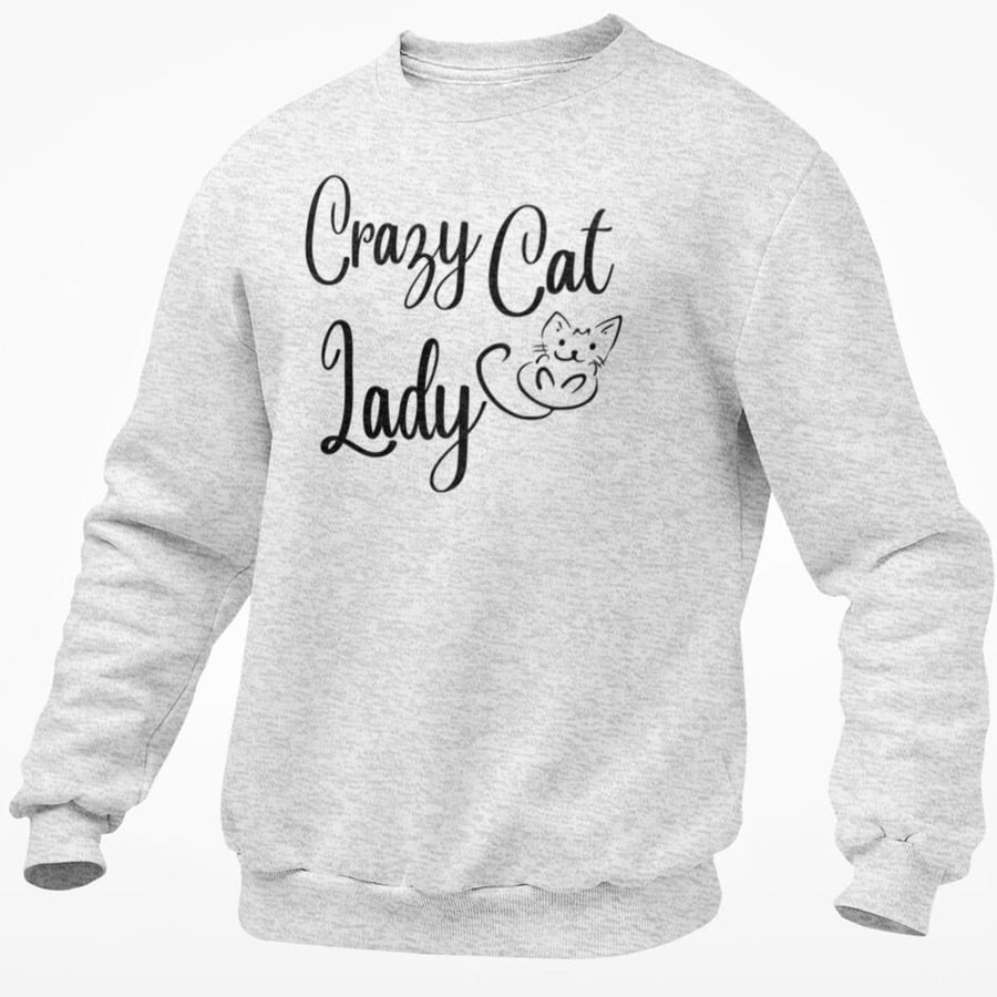 Crazy Cat Lady Sweatshirt Novelty Cat Lover Single Person Pullover Top Birthday 