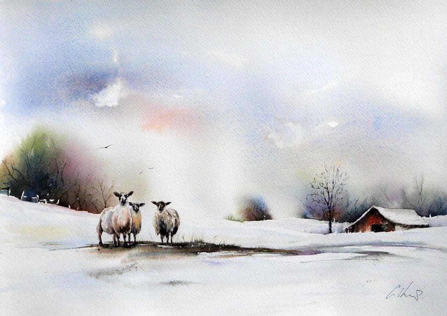 Three Sheep, Original Watercolour Painting.