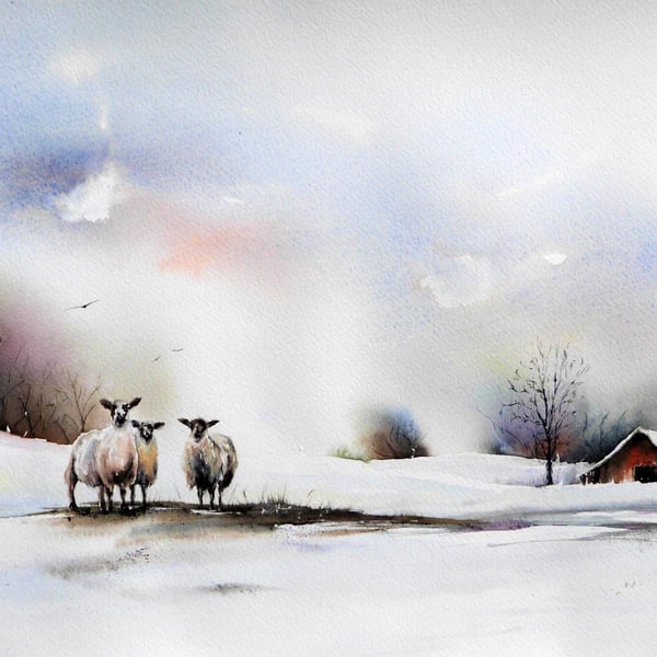 Three Sheep, Original Watercolour Painting.