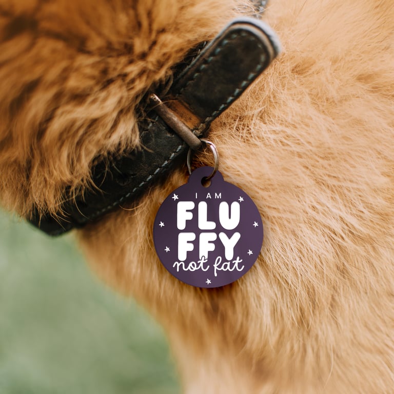 I'm Fluffy Not Fat - Personalised Dog Collar ID Tag: Custom Pet Safety ID