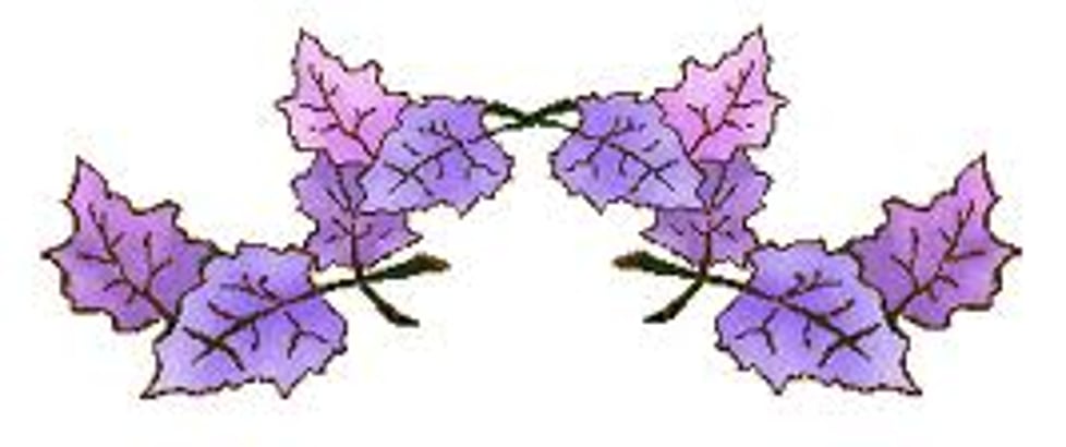 Small Purple Hedgehog