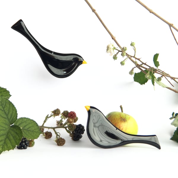 Fused Glass Blackbird, a very British Garden Bird