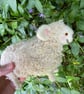 "Emily" charming needle felted sheep  - Image 7