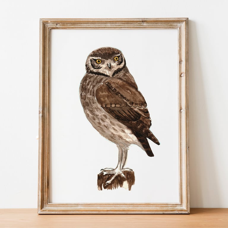 Little Owl A5 Inkjet Print