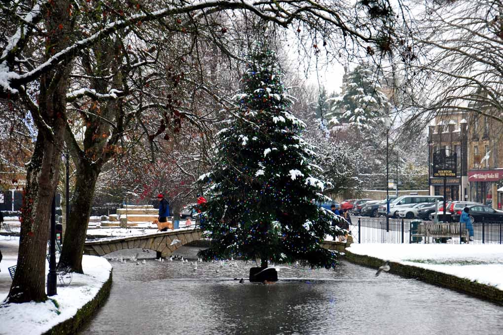 Bourton On The Water Christmas Tree Photograph Print