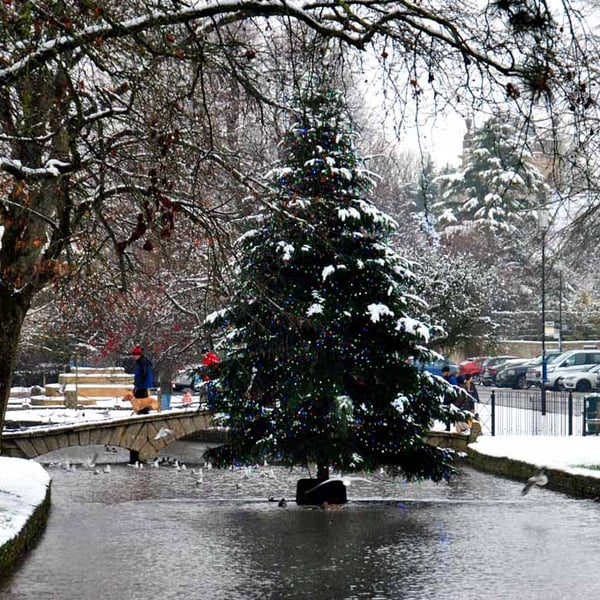 Bourton On The Water Christmas Tree Photograph Print