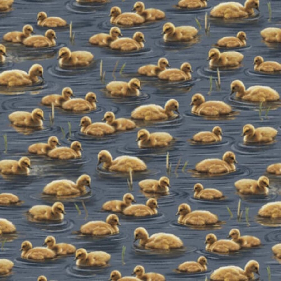 Fat Quarter Swimming Goslings Geese Cotton Quilting Fabric - Quilting Treasures
