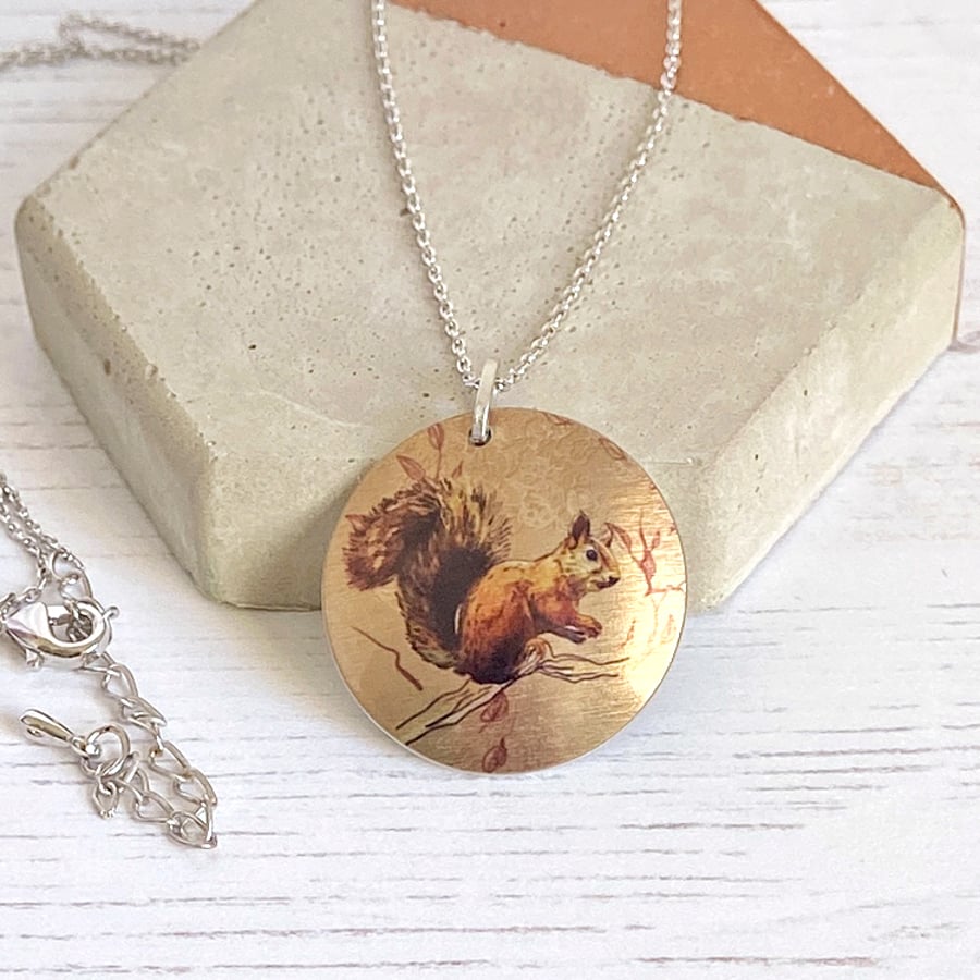 Squirrel necklace 25mm disc pendant on a fine chain, handmade jewellery. (375)