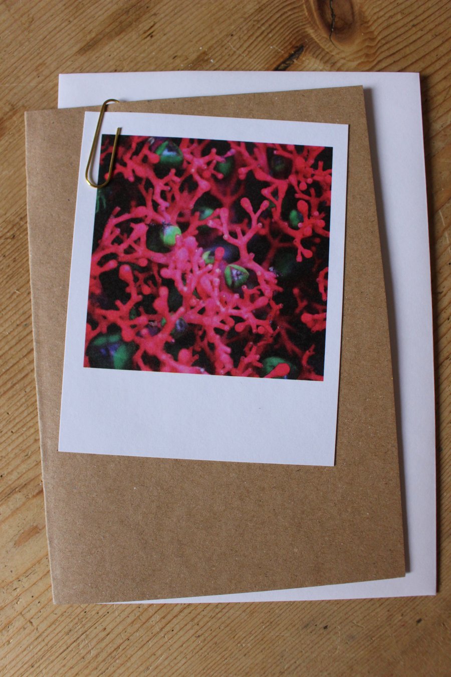 “Polaroid” style photo card: flowers