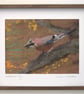 Woodland Jay - original felted art