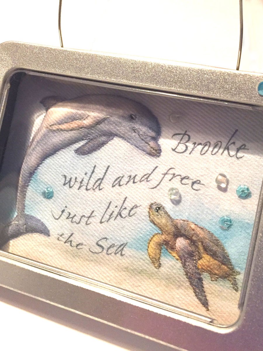 (reserved) dolphin, sea turtle picture, framed in a tin