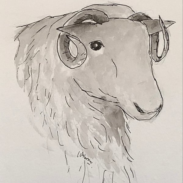 Sheep - Original watercolour painting. Farm animals.