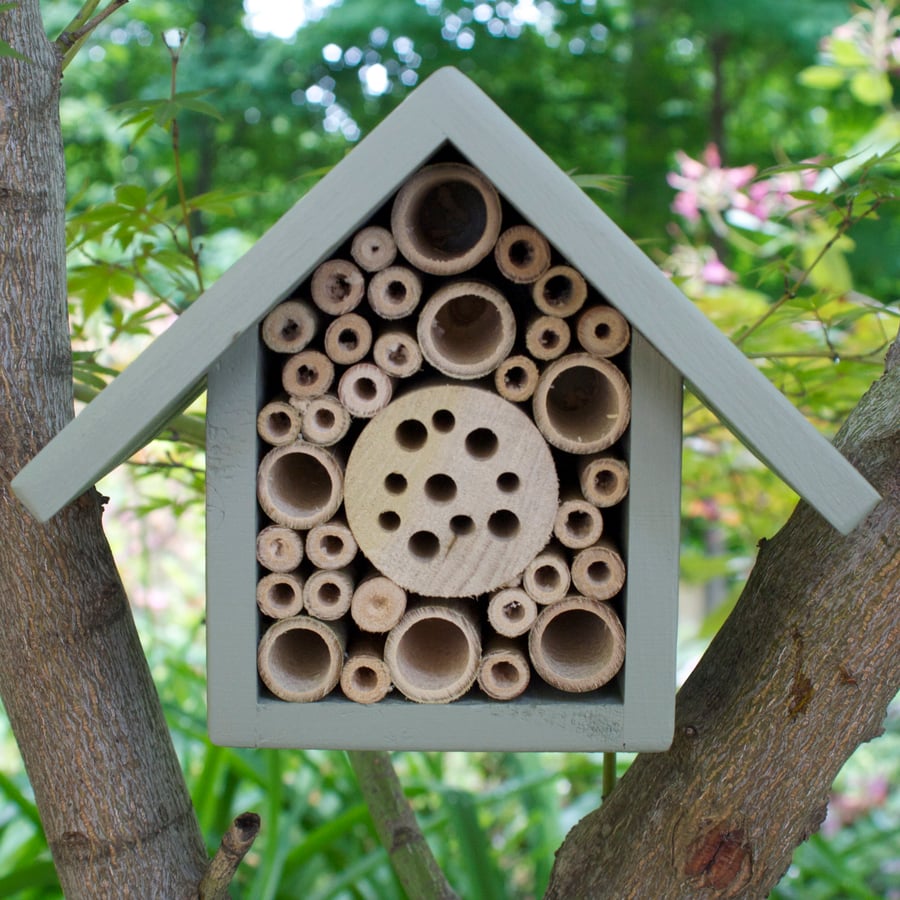 USA or Canada Bee Hotel, in Mulberry.