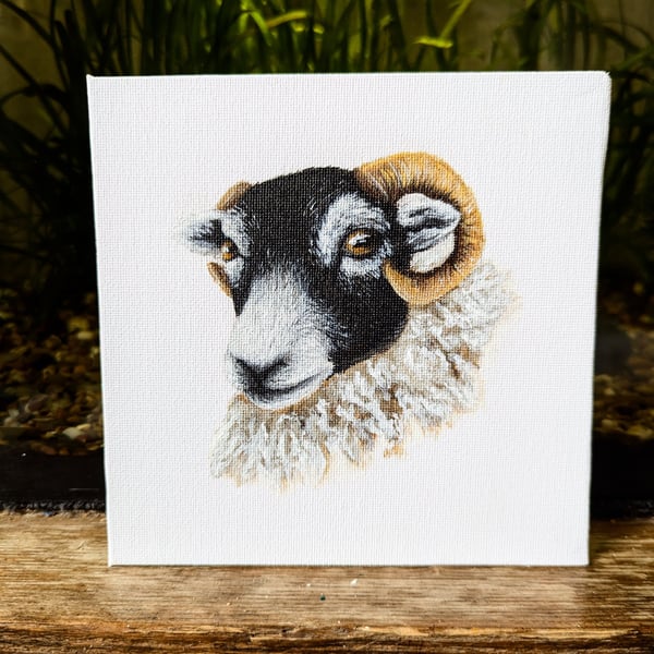 Swaledale Sheep Acrylic Portrait Painting 