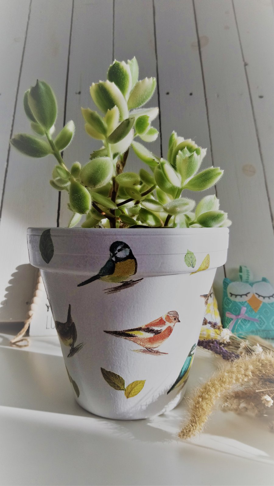 Decoupaged Garden Birds & Leaves Design Indoor Terracotta Pot
