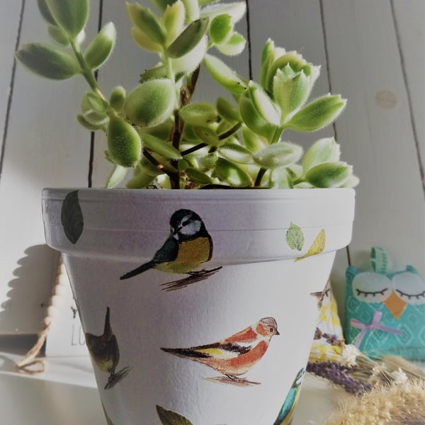 Decoupaged Garden Birds & Leaves Design Indoor Terracotta Pot