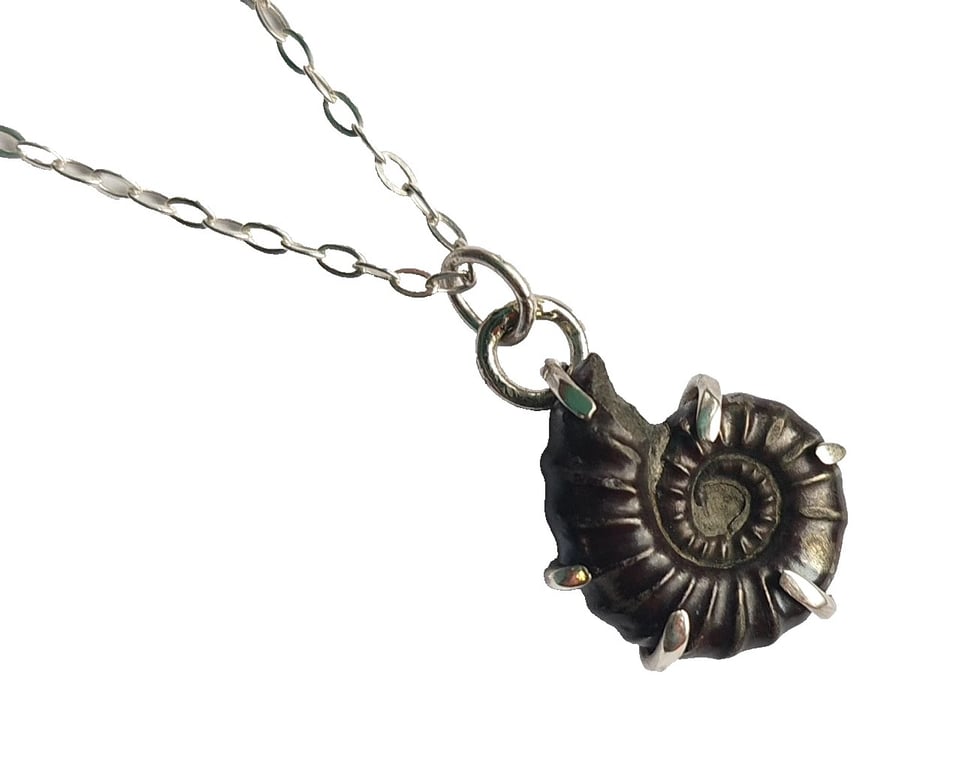 Pyrite Ammonite Fossil Necklace Recycled Sterling Silver Jewellery Gift in Box