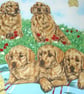 Golden Retrievers and pups in the garden cushion - Image 2