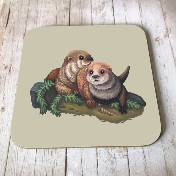 Otters Coaster