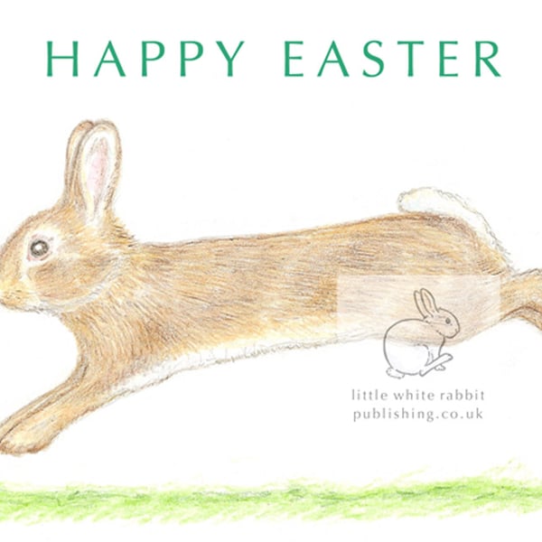 Little Wild Rabbit Jumping - Easter Card
