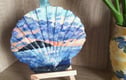 Sea shell trinket dishes and wall decorations