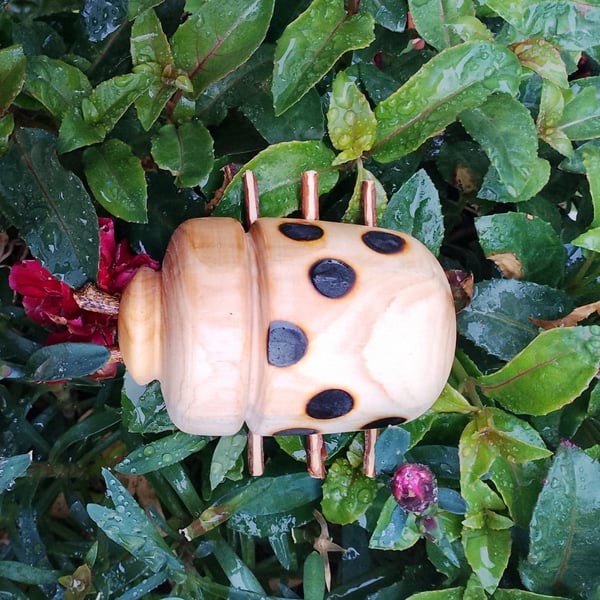 Batford Ladybird just for fun.