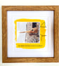 Shark; framed image, mounted and printed on card and photographic paper - Image 3