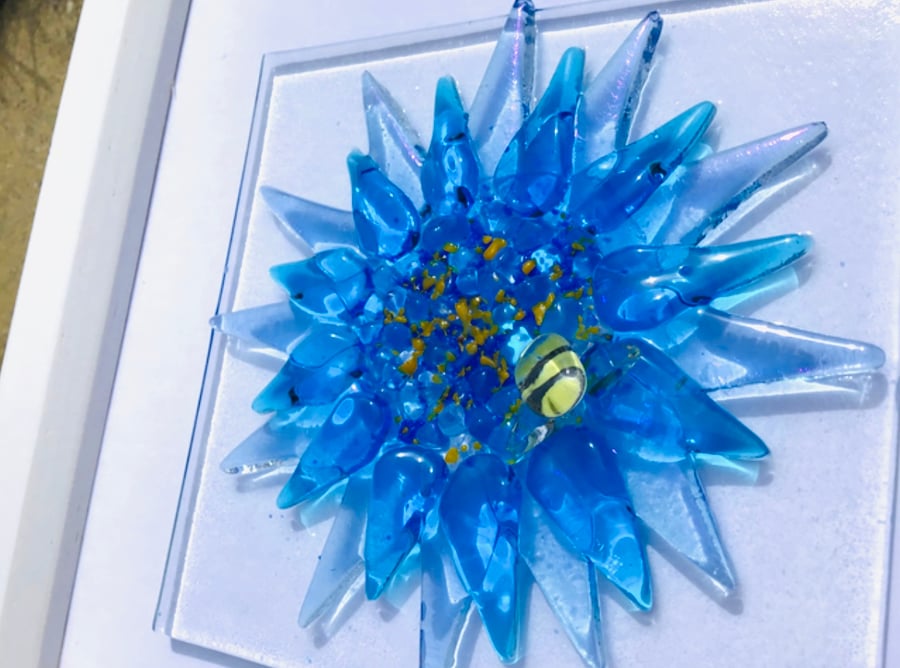 Fused glass cornflower picture