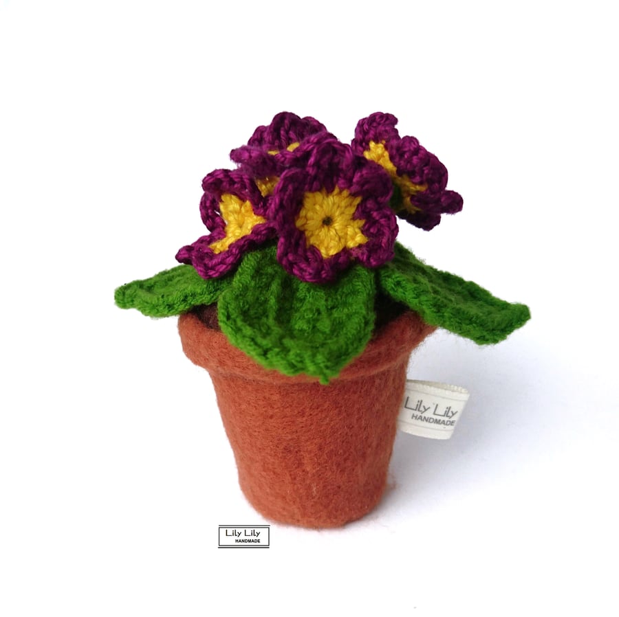 Everlasting Primrose Flower pot decoration (purple) by Lily Lily Handmade 