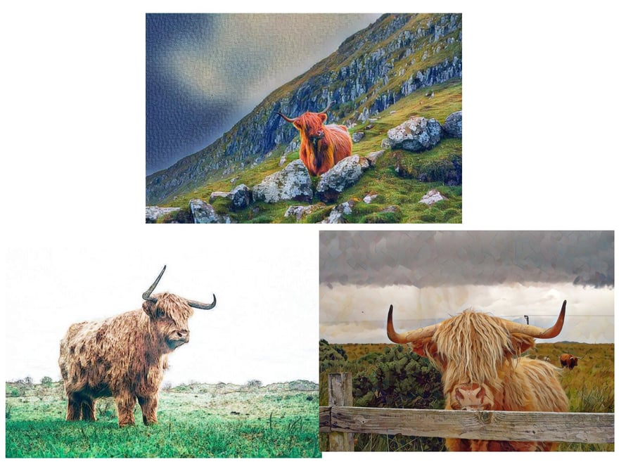 Pack of 3 Highland Cow Art Cards A5